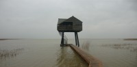 Bird hide Kiekkaaste in Nieuwe Statenzijl during high tide +163 NAP